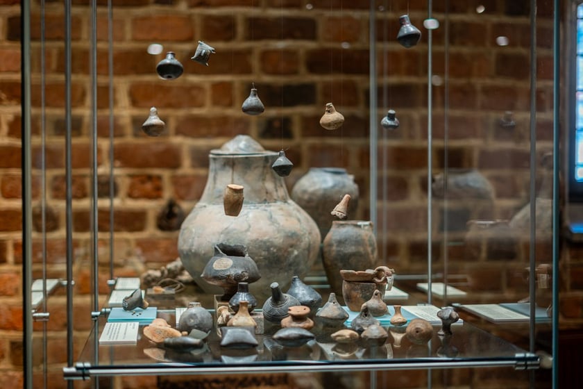 Wystawa Artificalia, naturalia, exotica w Muzeum Archeologicznym we Wrocławiu